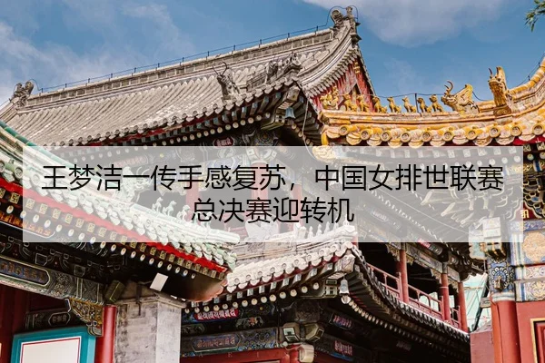 wang-meng-jie-yi-chuan-shou-gan-fu-su-zhong-guo-nv-pai-shi-lian-sai-zong-jue-sai-ying-zhuan-ji-3-599.jpg