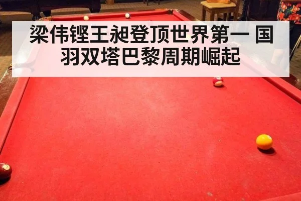 梁伟铿王昶登顶世界第一 国羽双塔巴黎周期崛起
